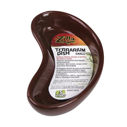 Terrarium Dish - Small