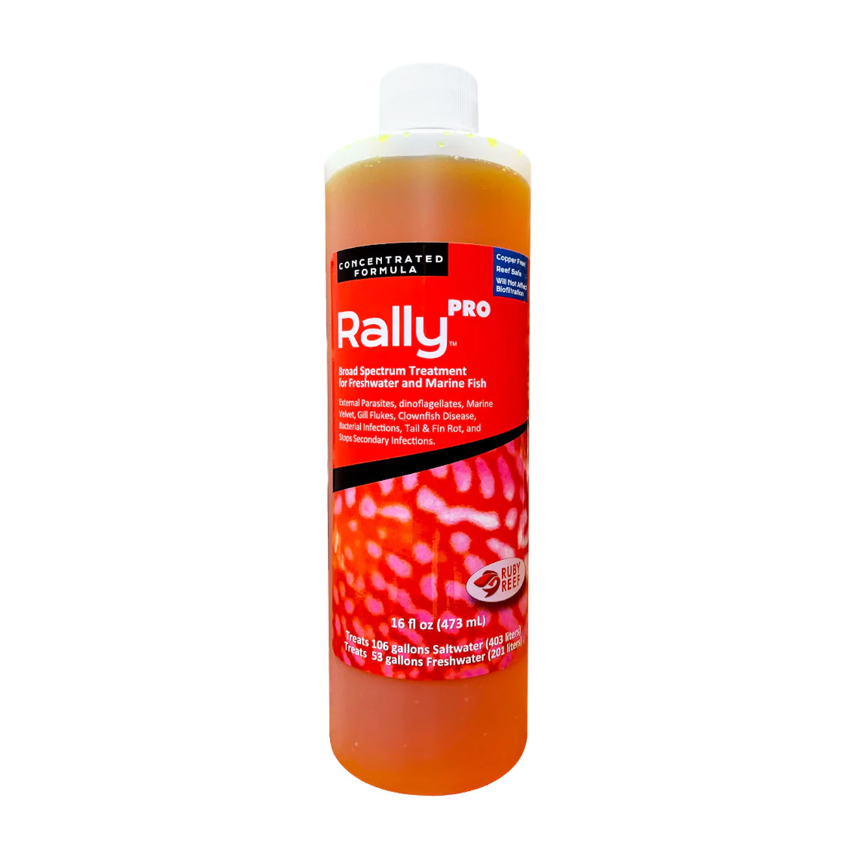 Rally Pro - 16 oz