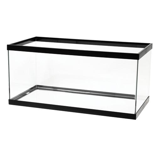 Standard Aquarium - Black Frame - 40 gal Breeder - Clear Silicone
