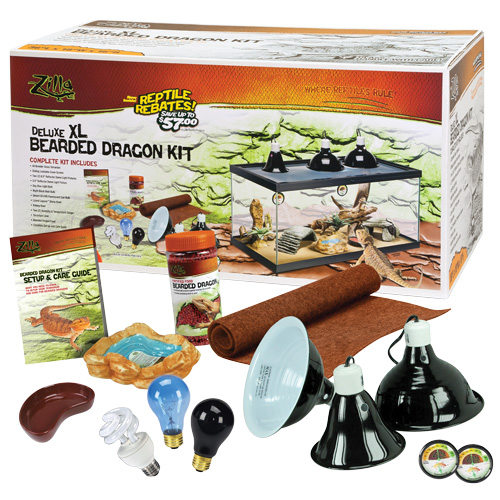 Deluxe XL Bearded Dragon Kit - 40 gal Breeder