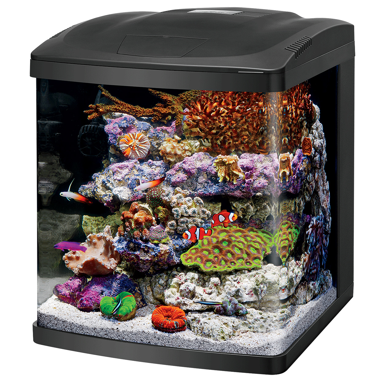 LED BioCube - 16 gal