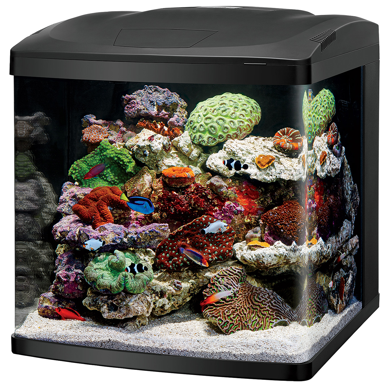 LED BioCube - 32 gal