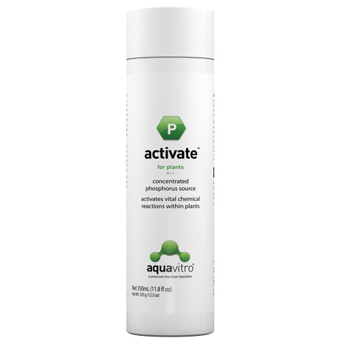 Activate - 350 ml