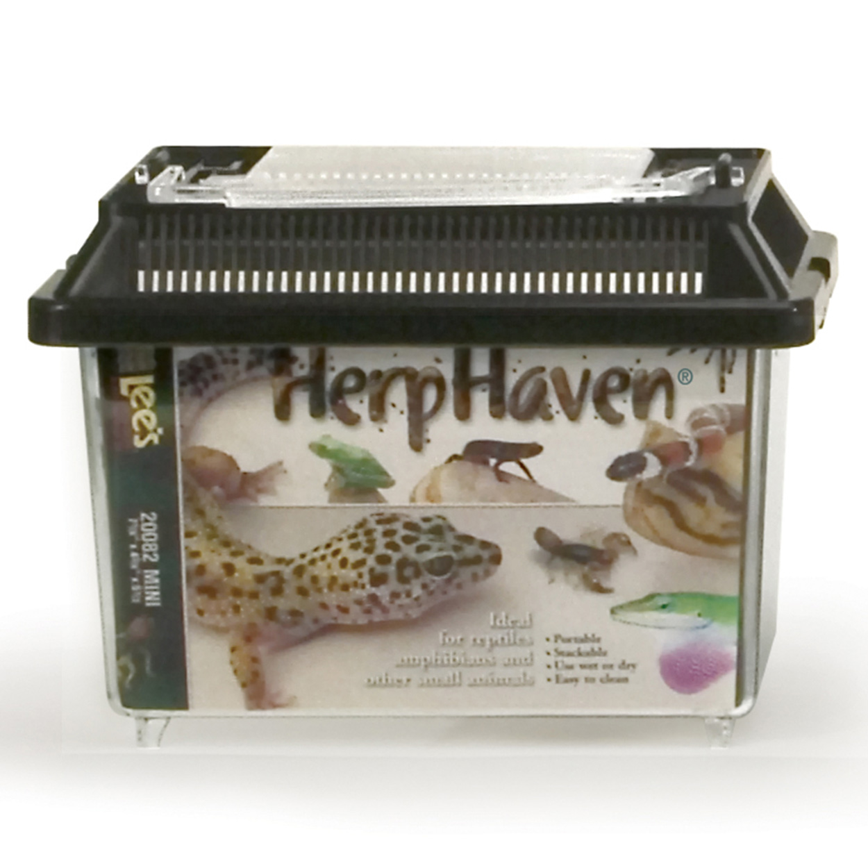Rectangular HerpHaven - Mini