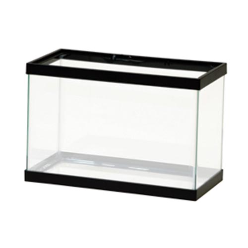 Standard Aquarium - Black Frame - 2.5 gal - Clear Silicone
