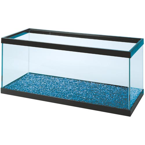 Standard Aquarium - Black Frame - 20 gal Long - Clear Silicone