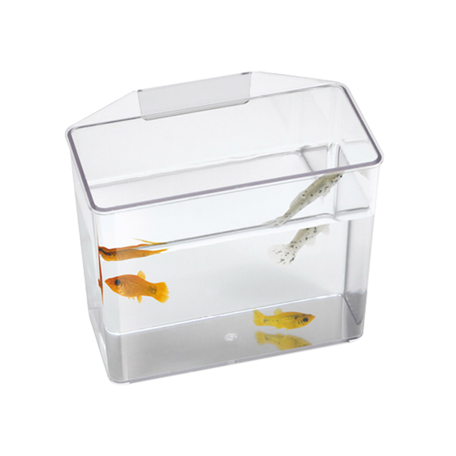 Break Resistant Specimen Container - Large
