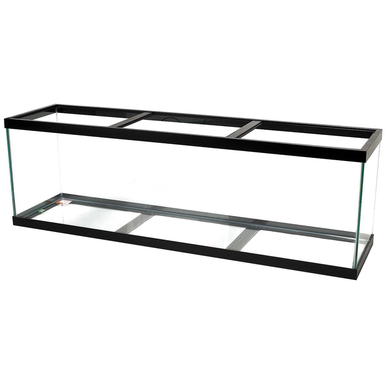 Standard Aquarium - Black Frame - 125 gal - Black Silicone