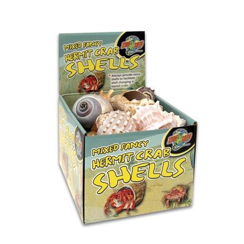 Hermit Crab Fancy Shells Display - 24 Pieces
