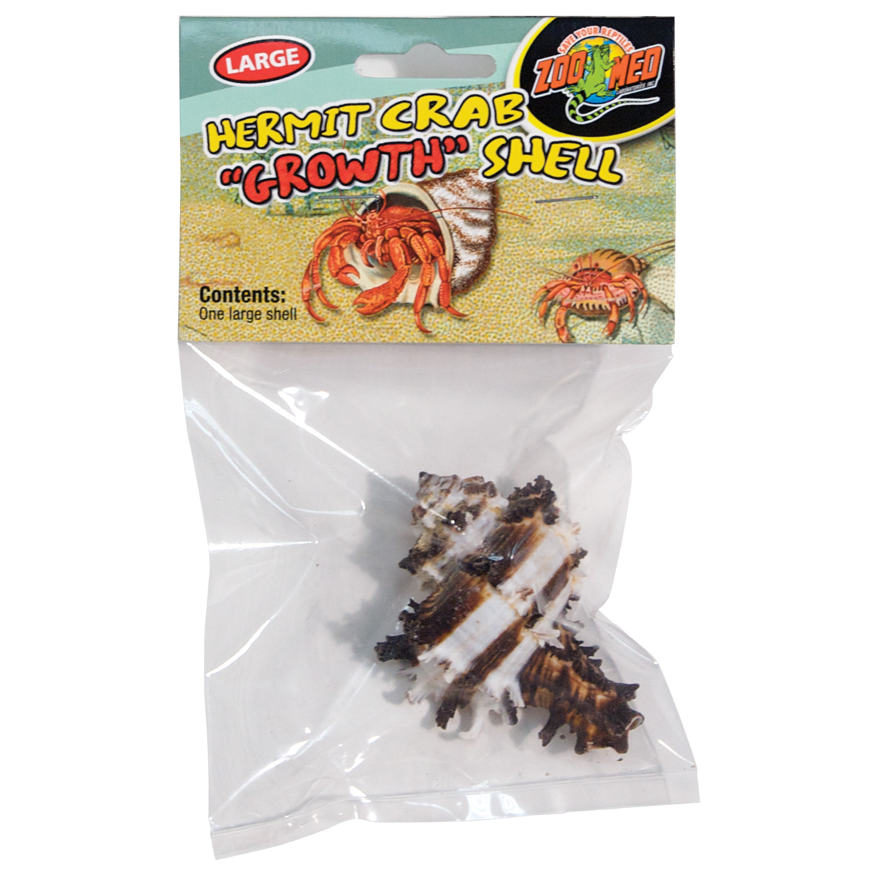 Hermit Crab "Growth" Shell - Large - 1 pk