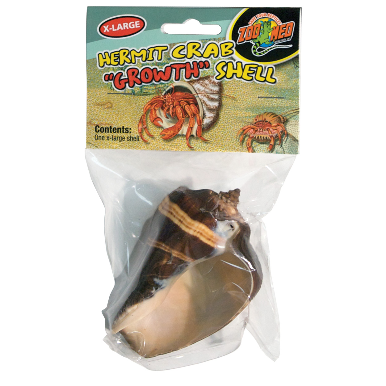 Hermit Crab "Growth" Shell - X-Large - 1 pk