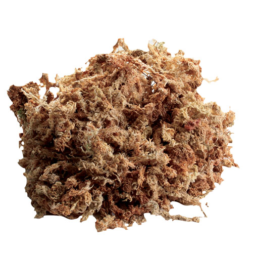 New Zealand Sphagnum Moss - 80 Cubic Inches
