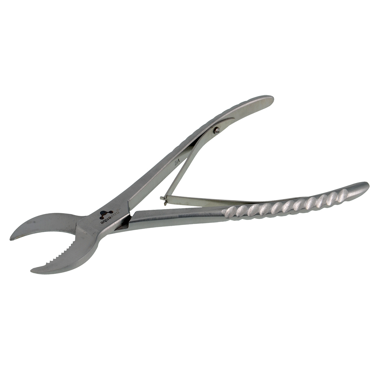 Crescent Coral Cutter