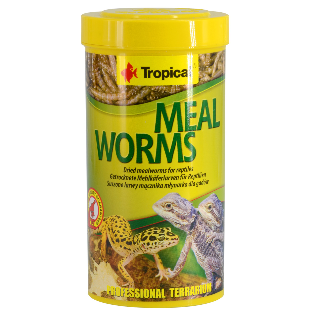 Dried Meal Worms - 30 g