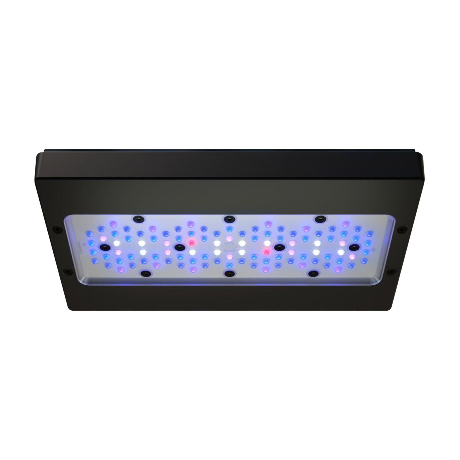 Radion XR30 G6 LED Lighting - Blue