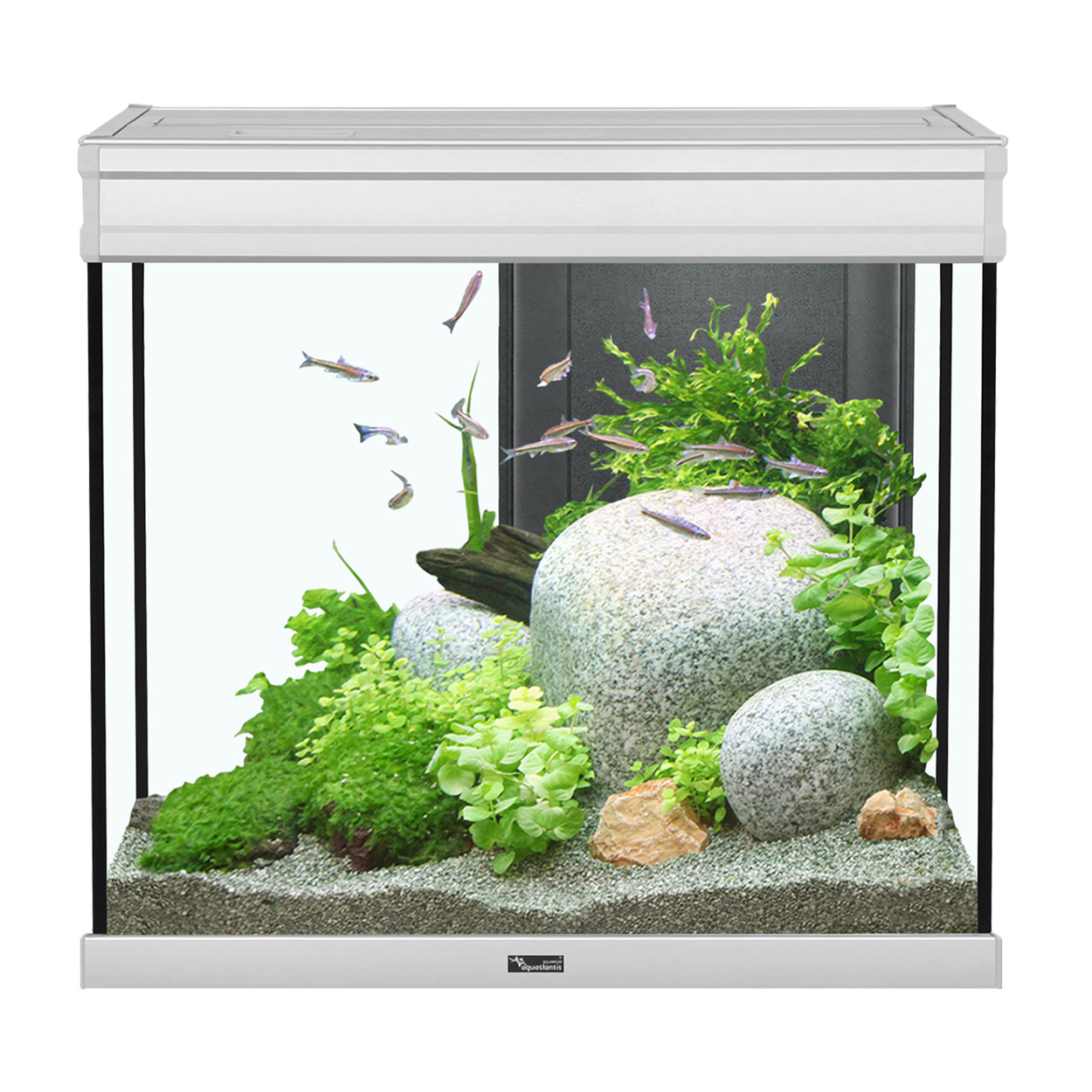 Elegance Expert 60 Aquarium - Grey - 27.5 gal