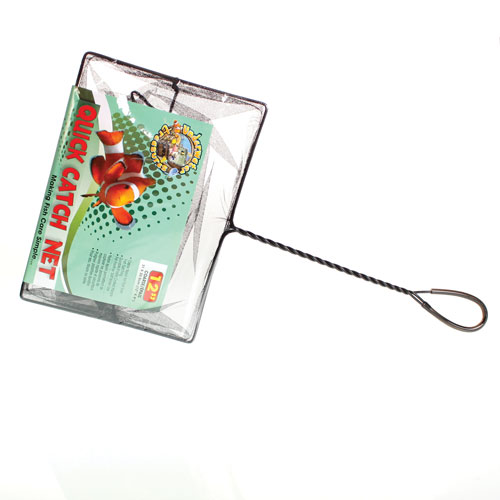 12" Course fish net. 