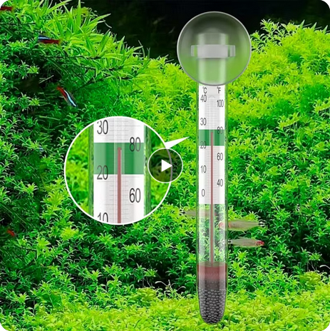 Floating Aquarium Thermometer