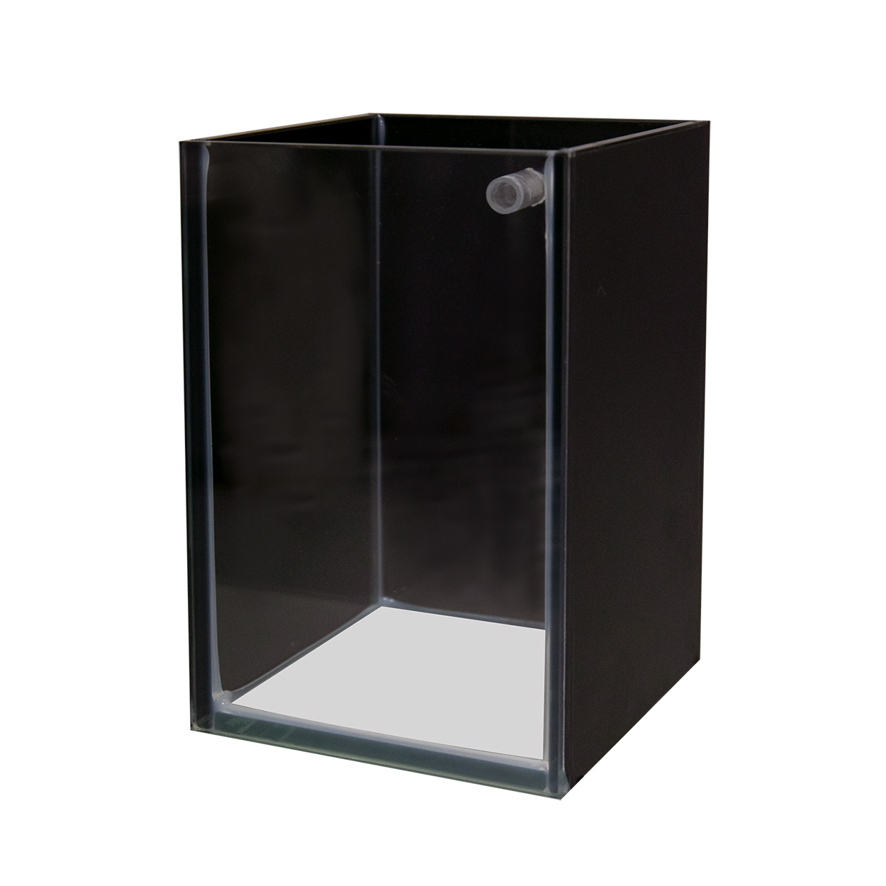 Betta Tank Shop Display 1