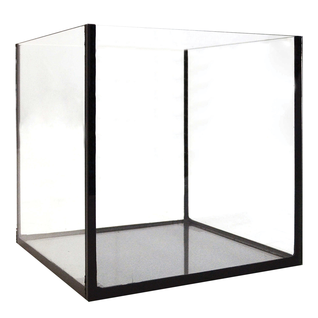 Rimless Cube Aquarium - 2 gal