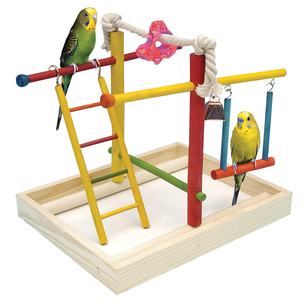 Bird Activity Center - Medium
