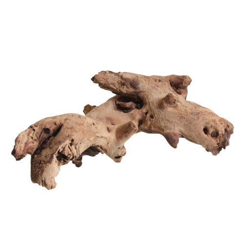 Mopani Wood - Sold by the Pound