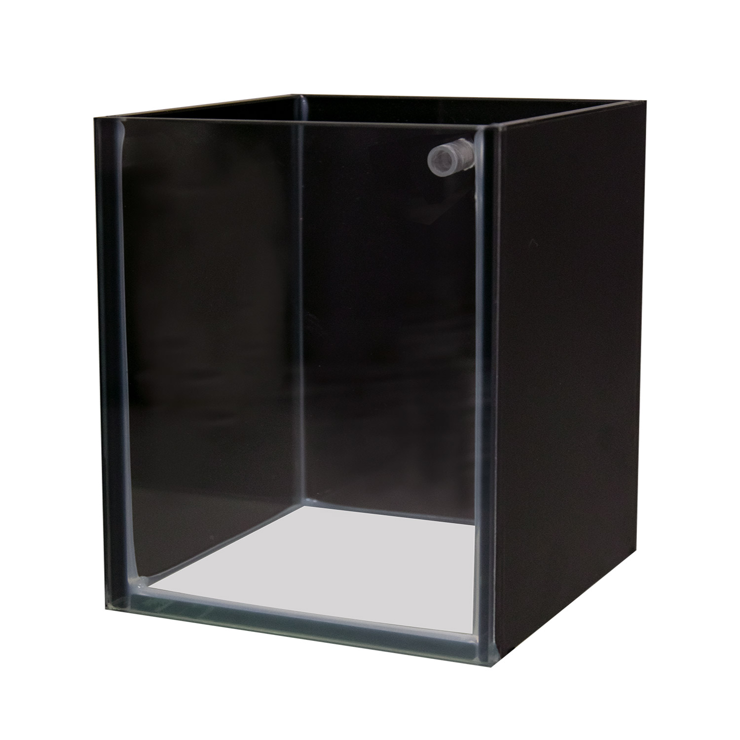 Betta Tank Shop Display