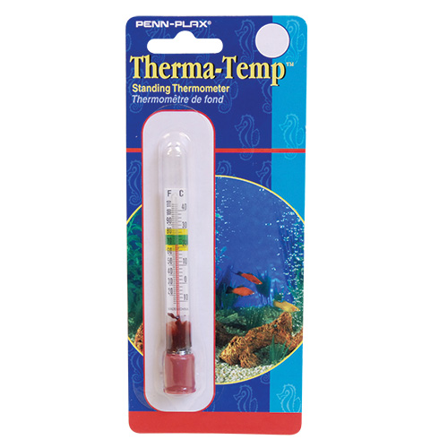 Standing Thermometer