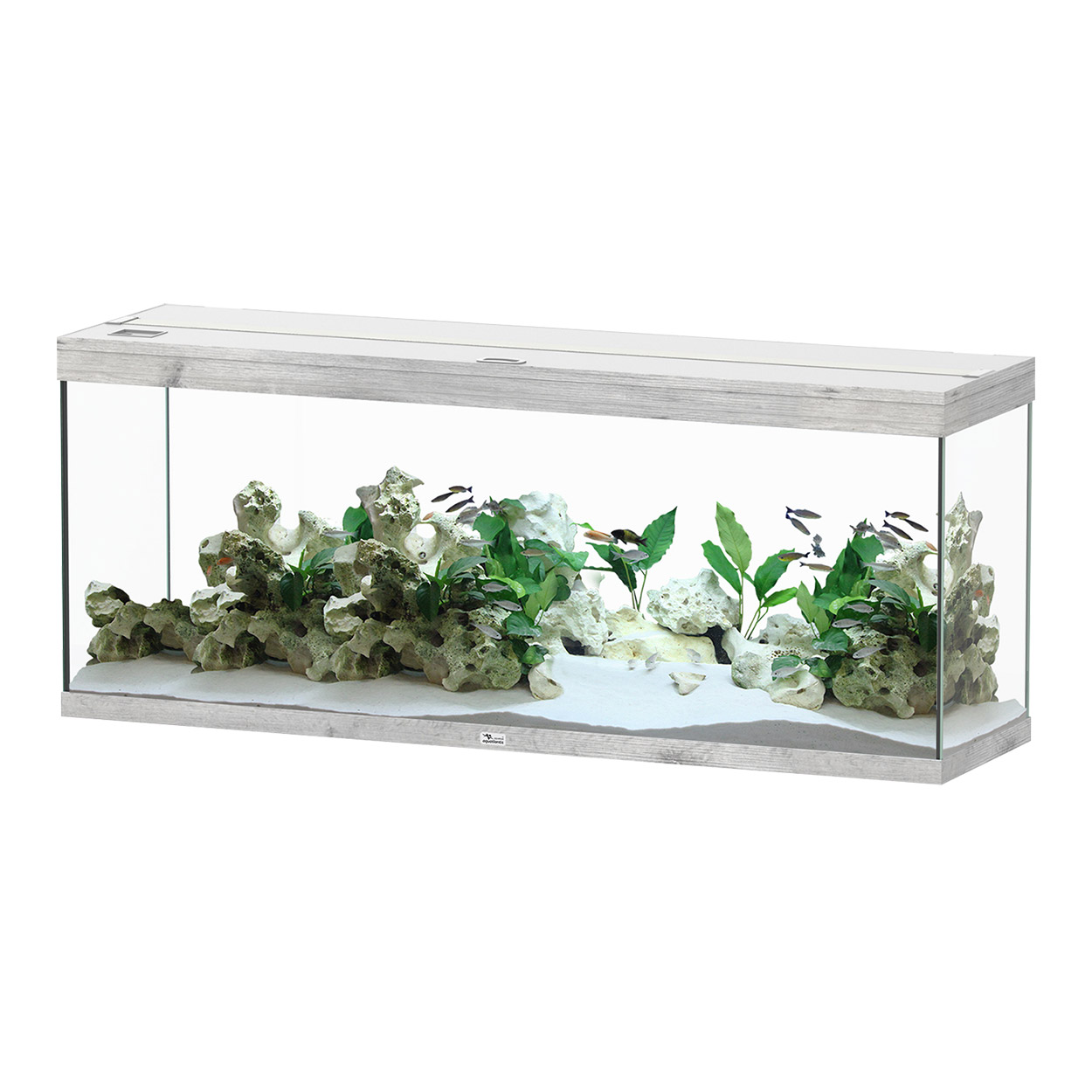 Splendid 150 Aquarium - Grey - 59" x 16" x 24"