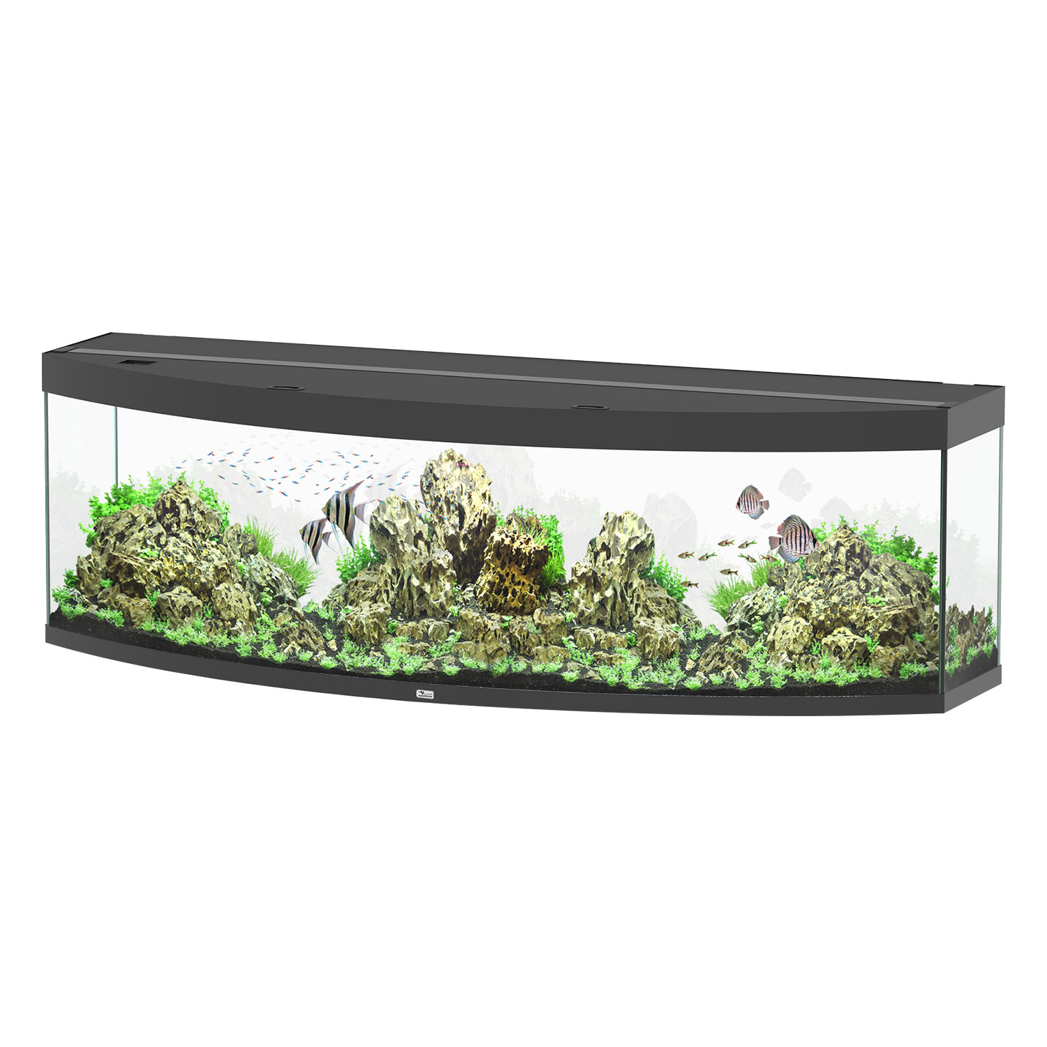 Sublime 200 Aquarium - Black - 79"x27"x24"