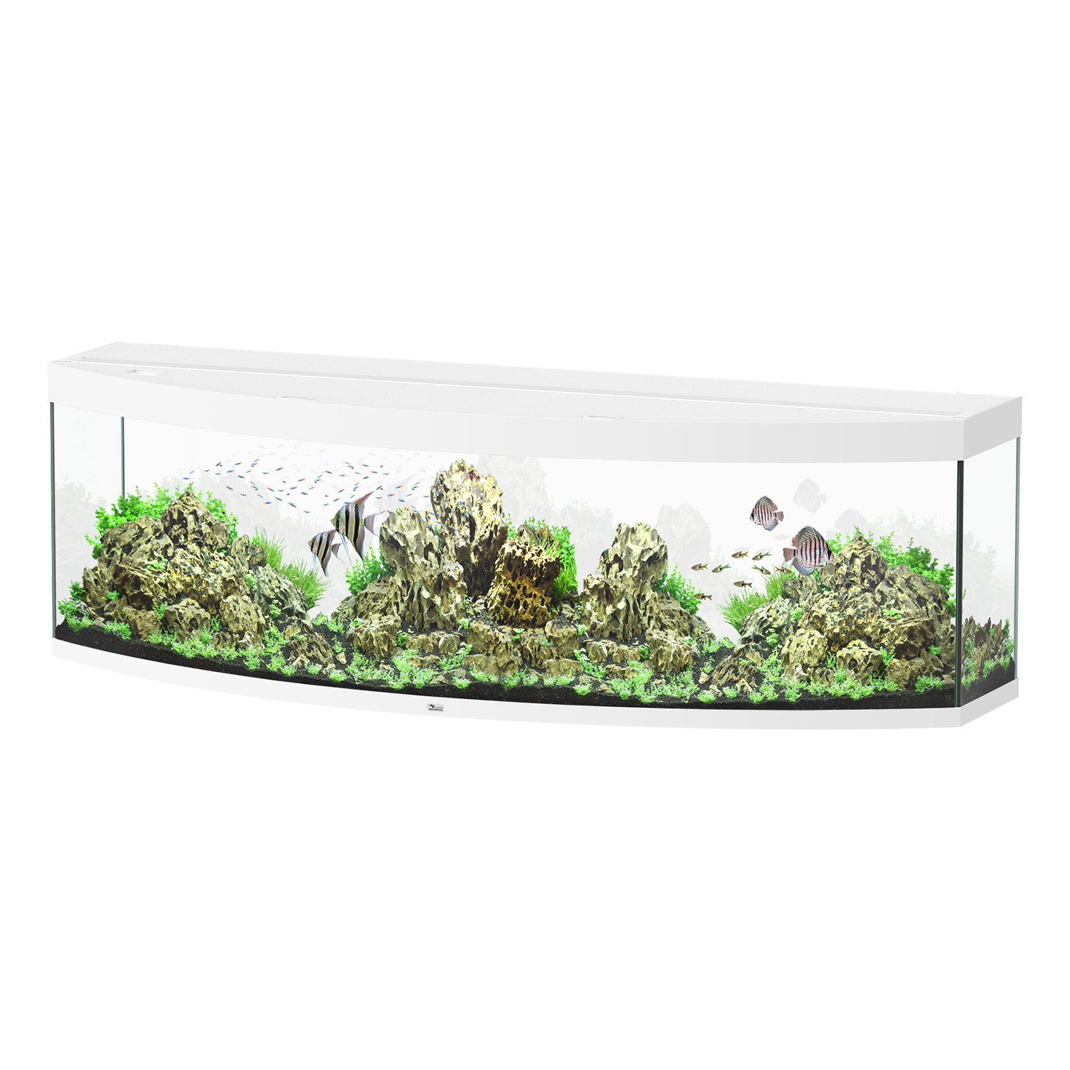 Sublime 200 Aquarium - White - 79"x27"x24"