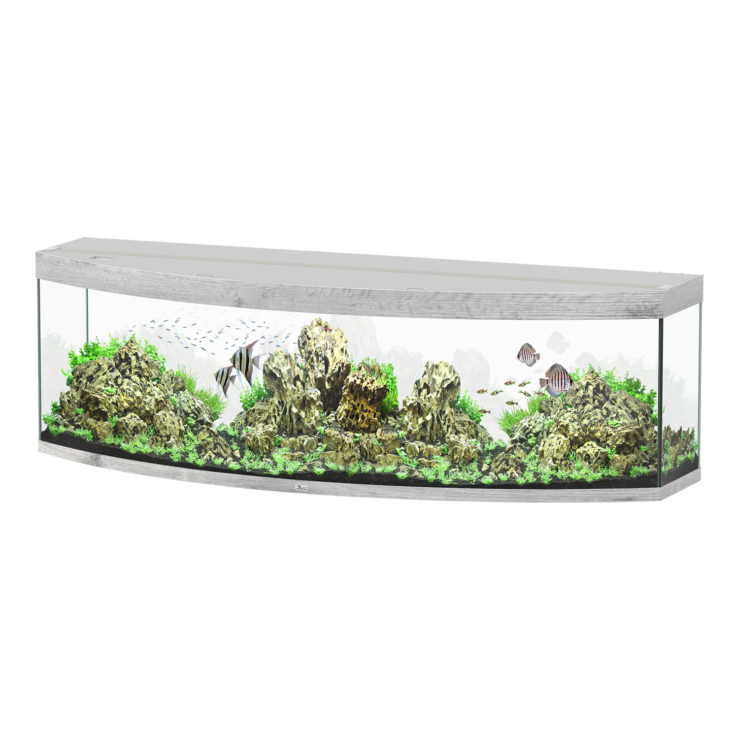 Sublime 200 Aquarium - Grey - 79"x27"x24"