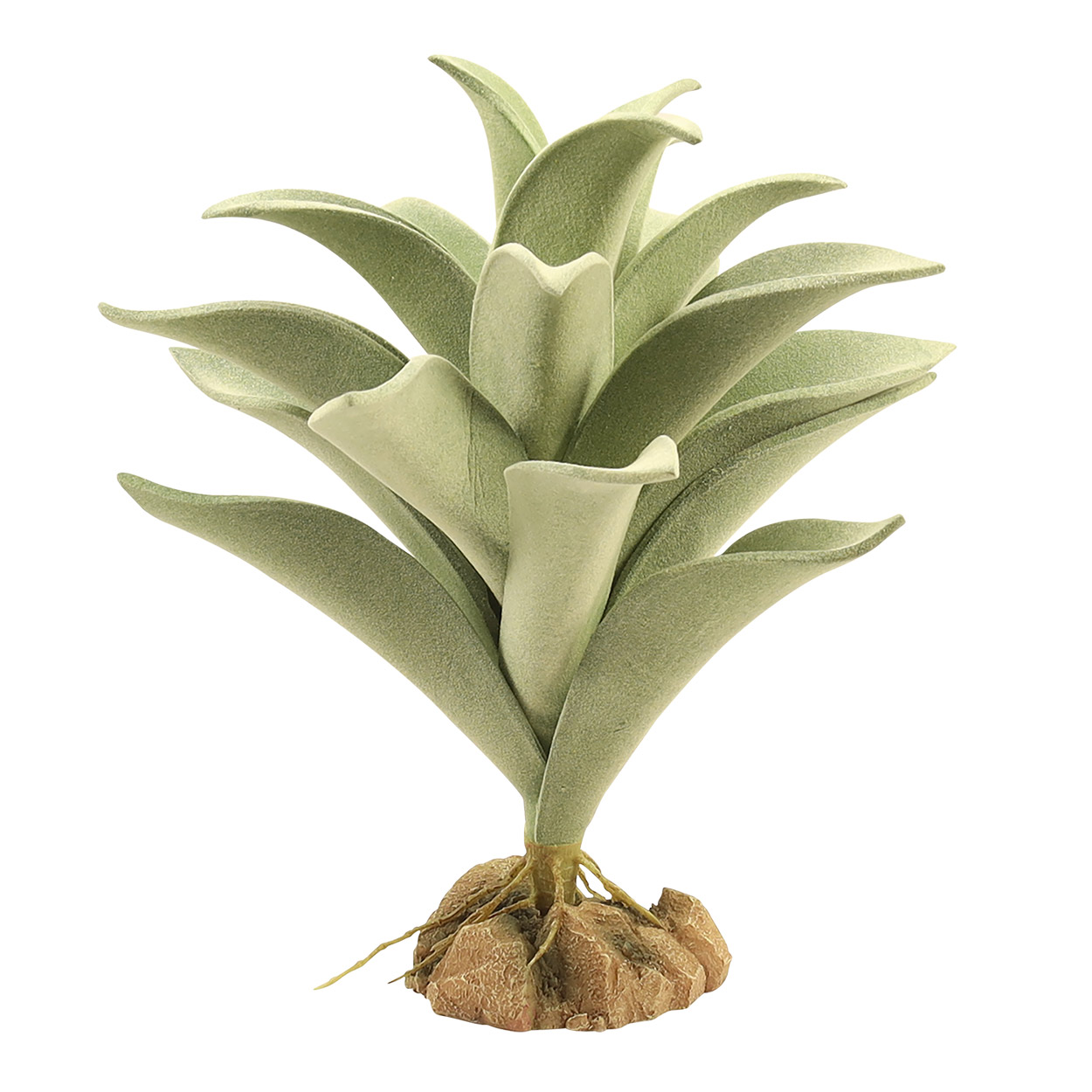 Naturalistic Desert Flora - Silver Mullein