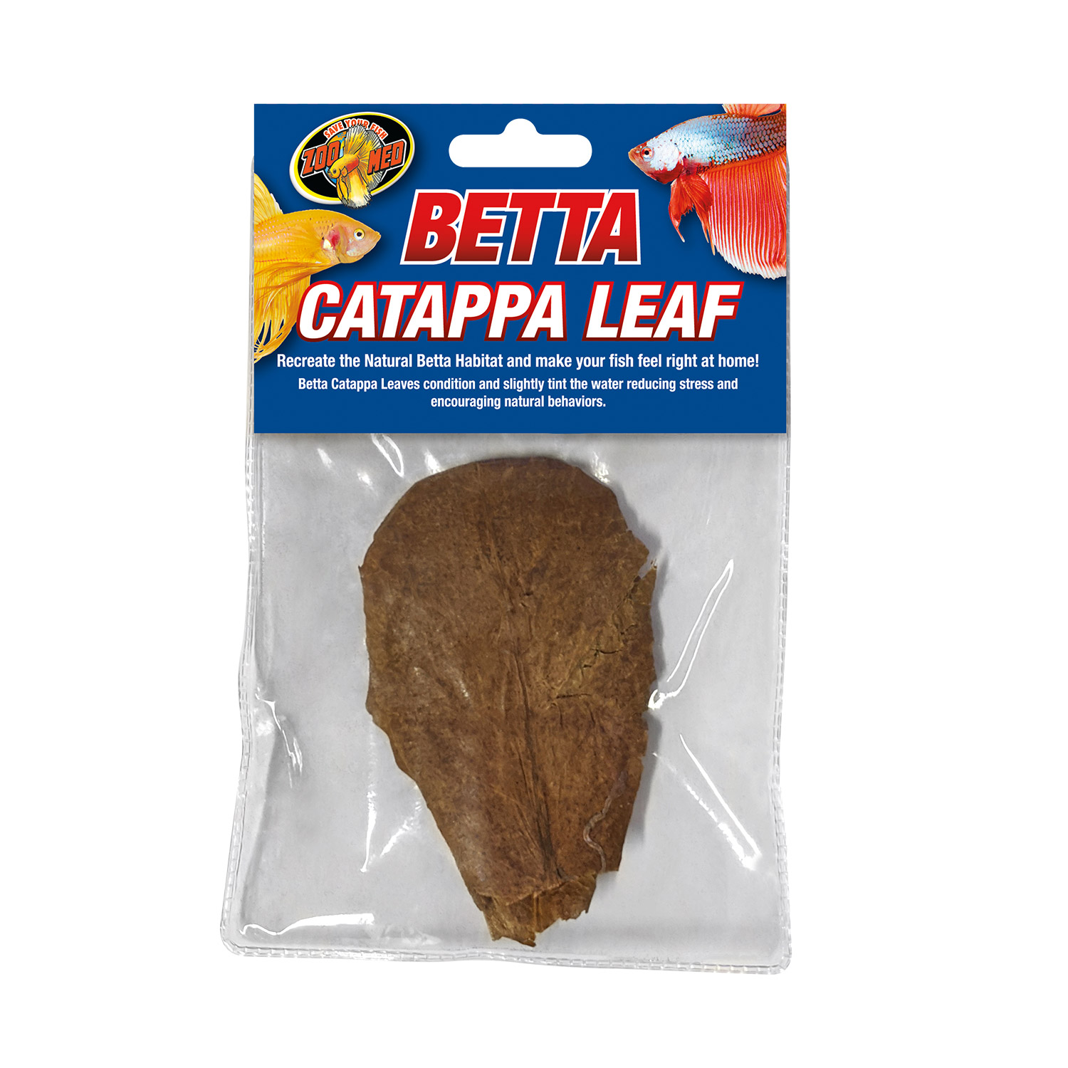 Betta Catappa Leaf