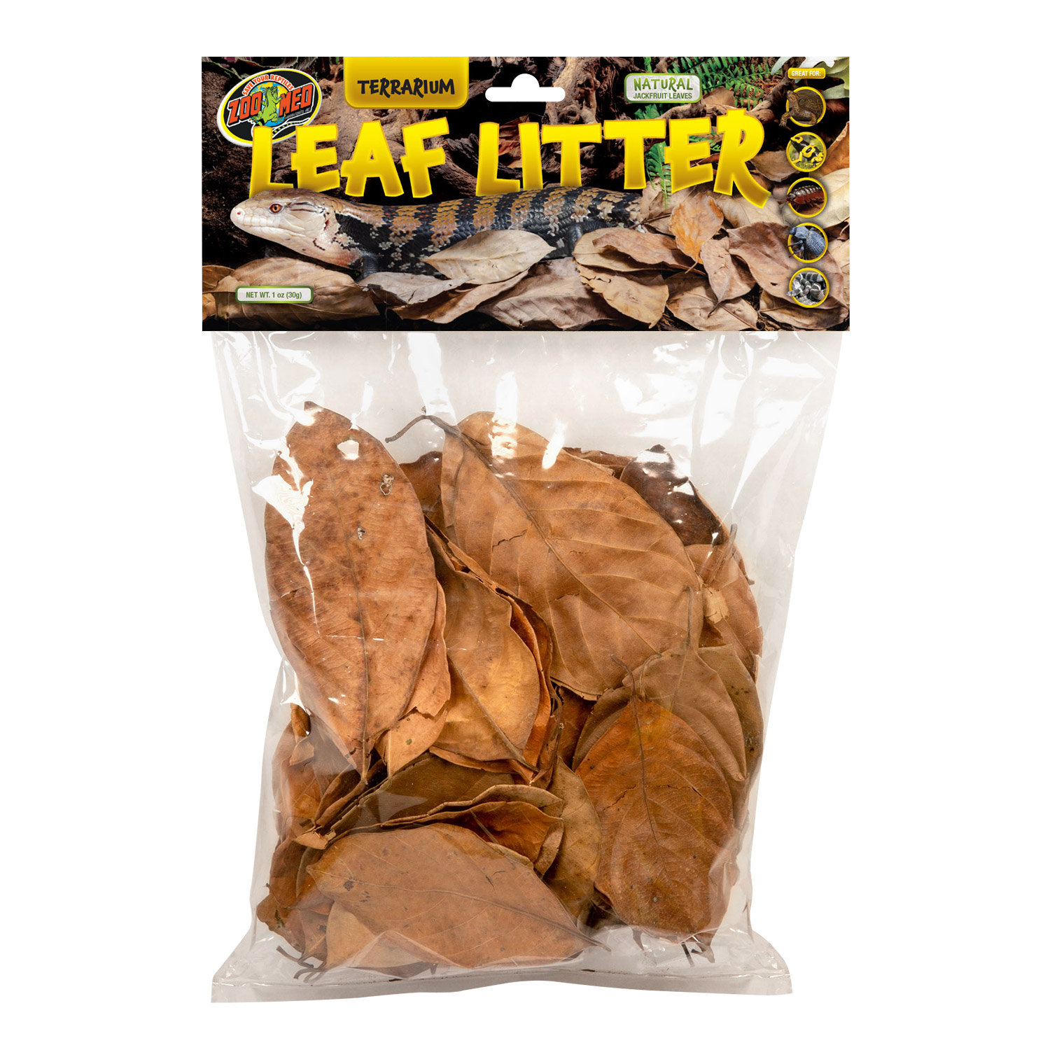 Terrarium Leaf Litter