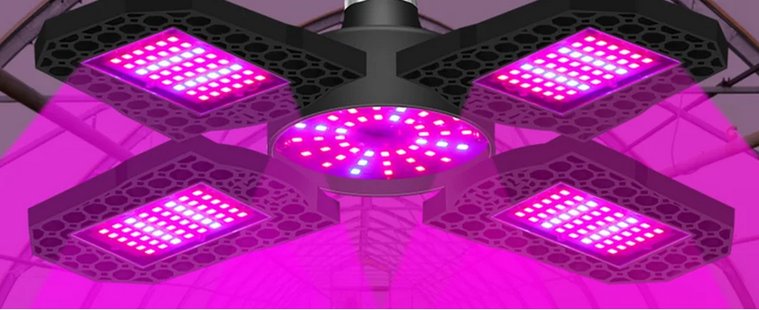 120 watt LED grow light. Screws into standard outlet. Has 180 red LEDs and 60 blue LEDs. LED type: SMD2835. One light suitable for medium size plants. 