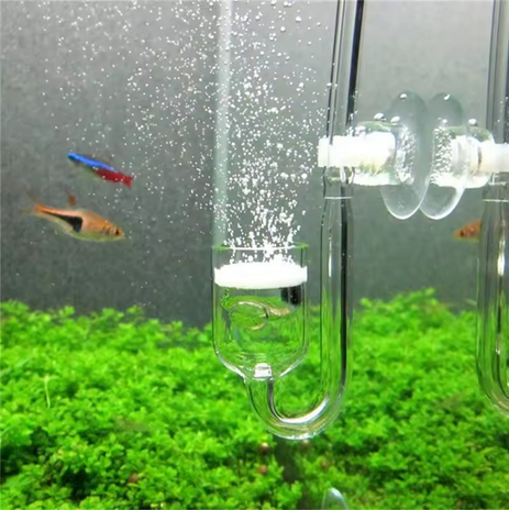 CO2 Diffuser with check valve.