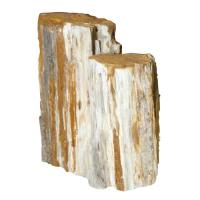 Petrified Wood - Sold by the Pound