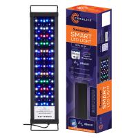 Seascape Smart LED Light - 18-24"