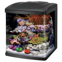 LED BioCube - 16 gal