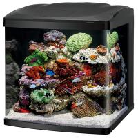 LED BioCube - 32 gal