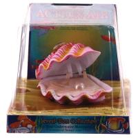Action-Air Tropical Clam