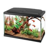 LED Aquarium Kit - 5.5 Gal