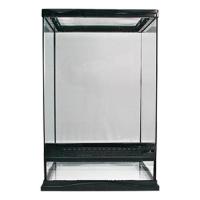 Naturalistic Terrarium - 12" x 12" x 18"