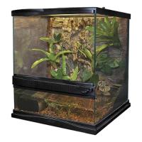 Naturalistic Terrarium - 18" x 18" x 18"