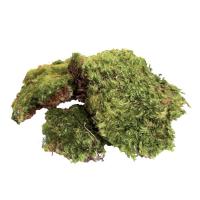 All Natural Frog Moss - 80 Cubic Inches