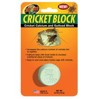 Cricket Block