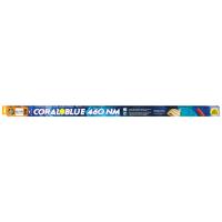 Coral Blue 460nm T5-HO Lamp - 54 W - 46"