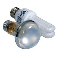 Bearded Dragon Lamp Combo Pack