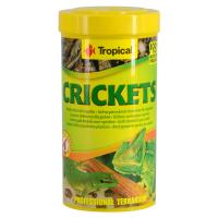 Dried Crickets - 25 g